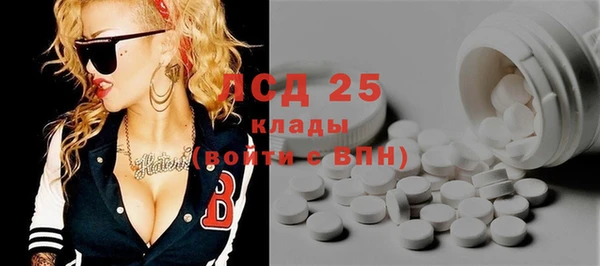 ECSTASY Богданович